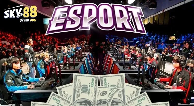 Giới thiệu tổng quan về cá cược e-sports Sky88